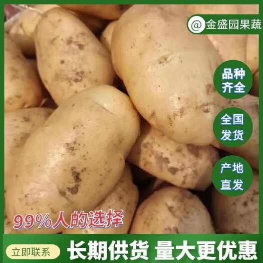 沂水县山东冷库土豆，荷兰十五土豆，v7土豆，沃土/品种齐全代发全国