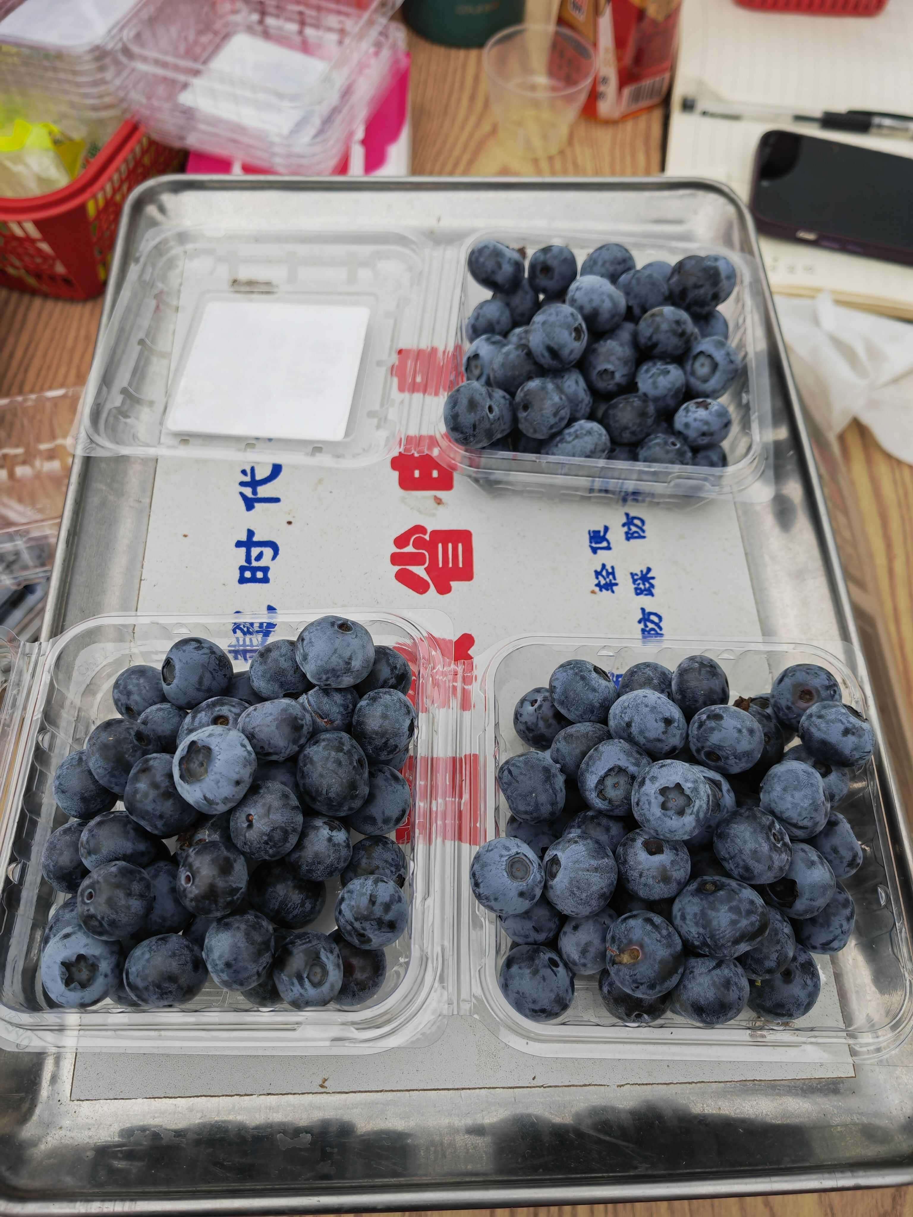 蓝莓，奥尼尔，莱克西，绿宝石
