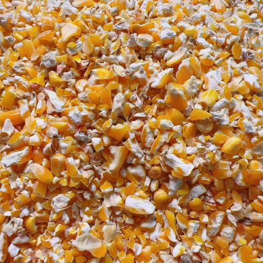 碎玉米，净粮碎玉米，干玉米，玉米碎，