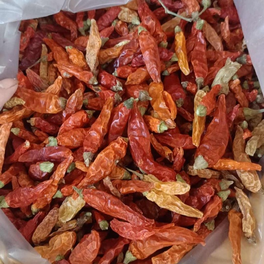 长沙小米椒干辣椒