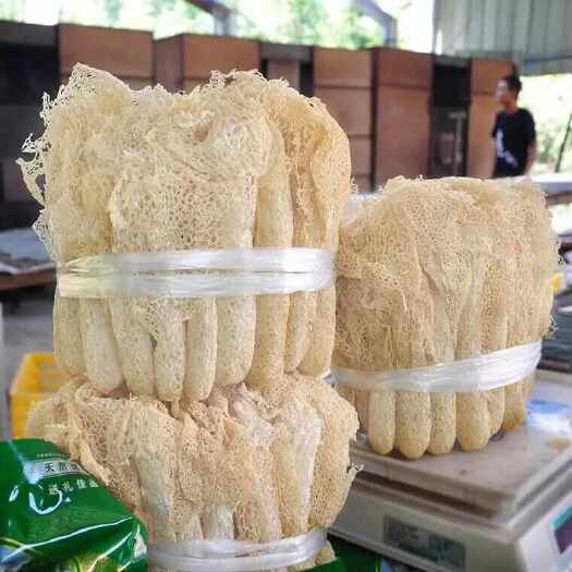 宜黄县竹荪菇长裙竹荪菇球菇竹荪菇杆子一手货源量大从优