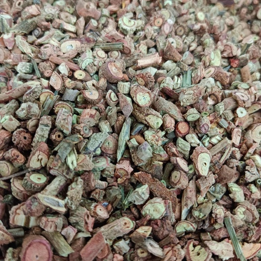 成都茜草