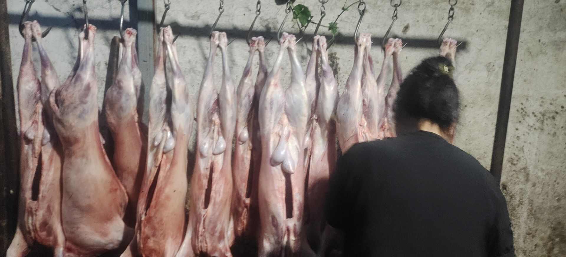 豫东山羊肉，剔骨净肉整只羊