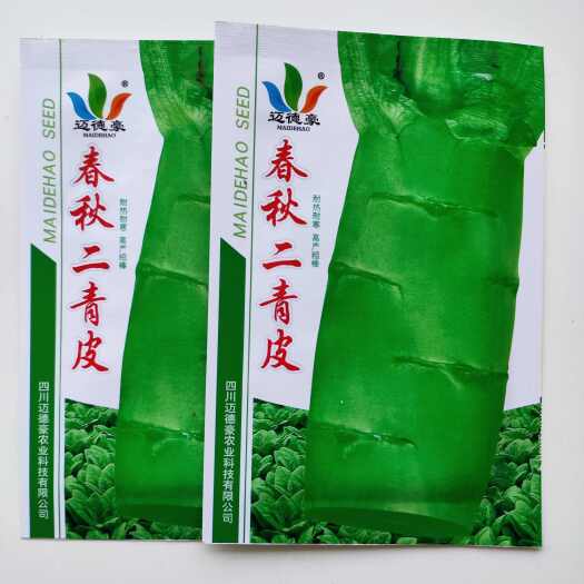沭阳县春秋二青皮莴笋种子青皮绿肉高产耐热寒耐抽苔四季蔬菜香莴苣种籽