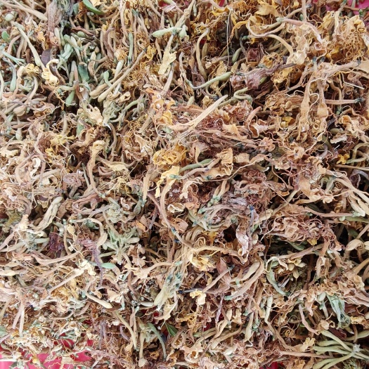 金银花统货