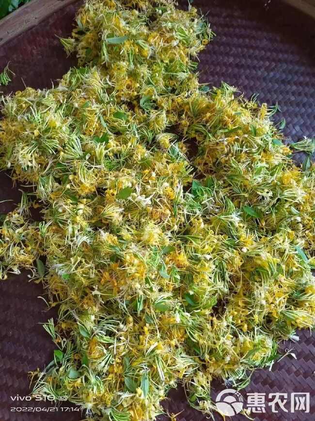 金银花带24年新货绒毛金银花干花非野生金银花中药金银花