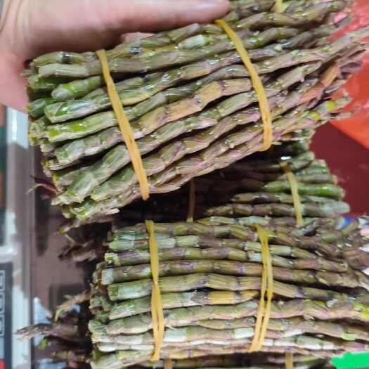 铁皮石斛基地直发，质量保证一手货源