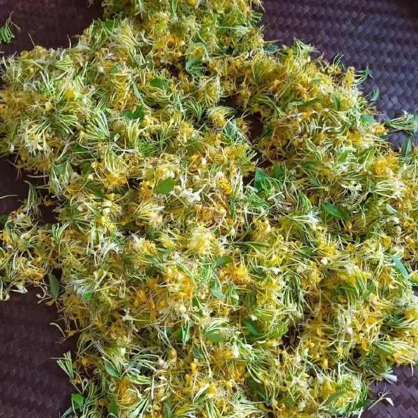 金银花带24年新货绒毛金银花干花非野生金银花中药金银花