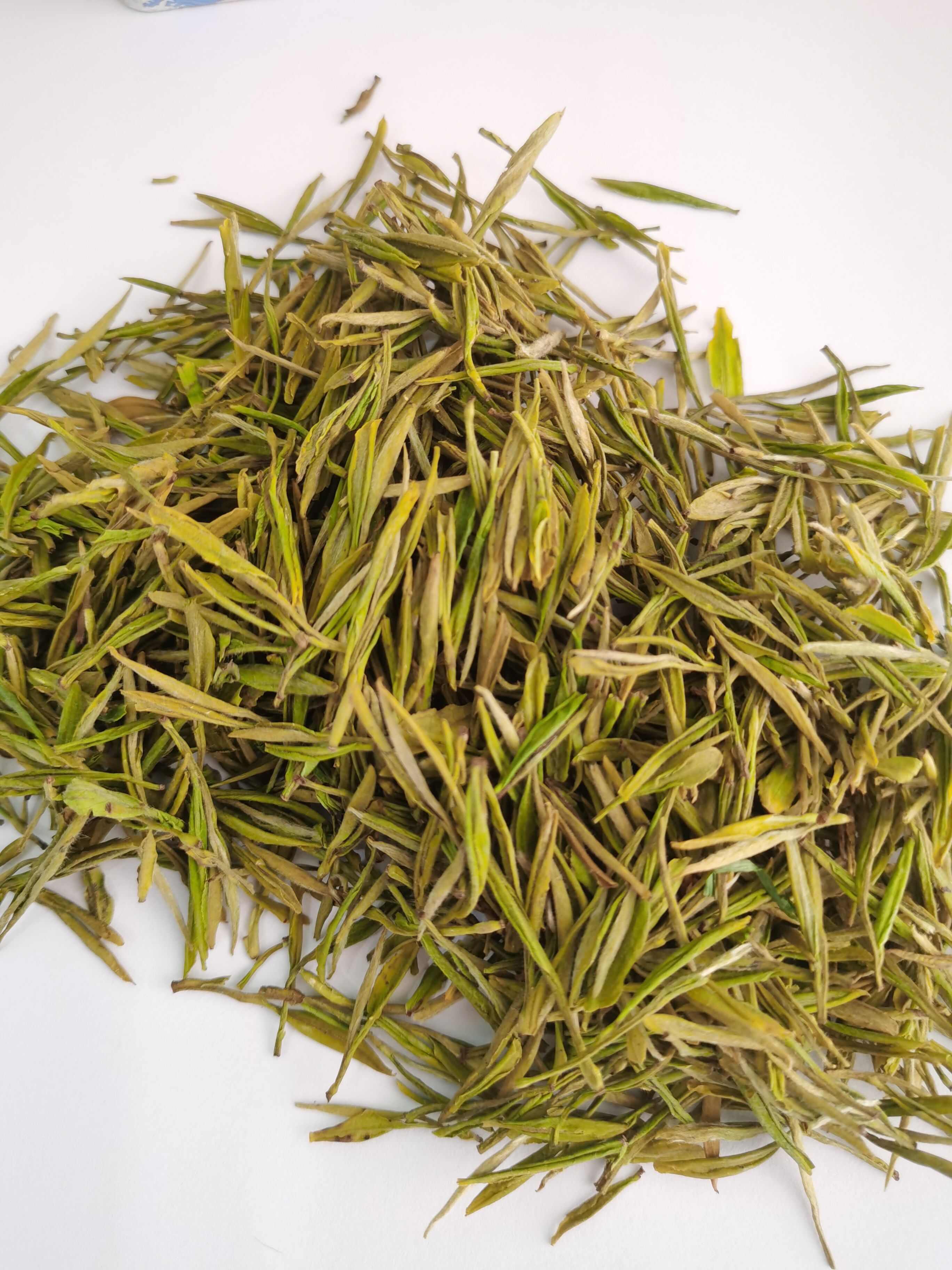 黄金芽茶，春茶明前茶，芽茶黄金茶