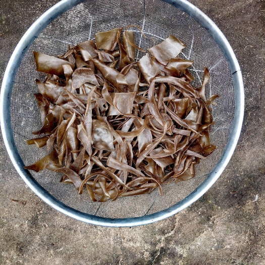 祁东县柴火手工红薯粉皮
