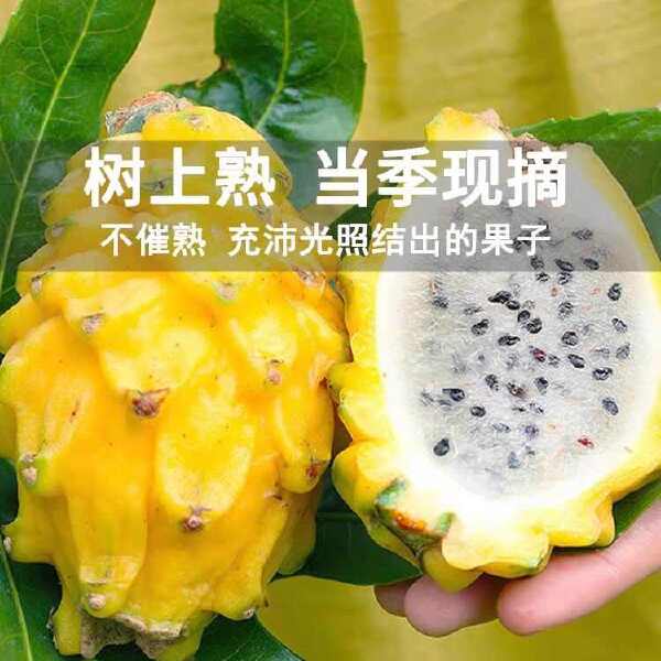 燕窝果各平台一件代发自己果园