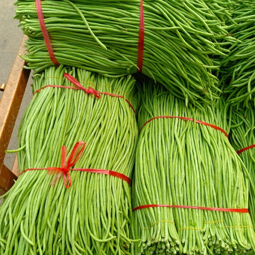 南宁大量豆角已上市有需要的可以联系我
