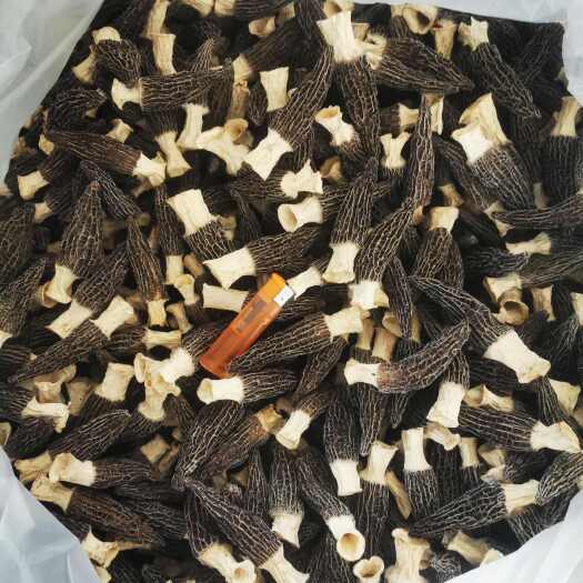 莘县羊肚菌干货