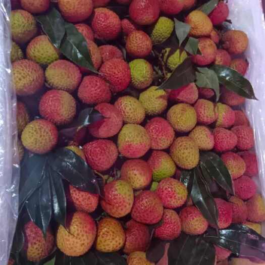广州新鲜荔枝
