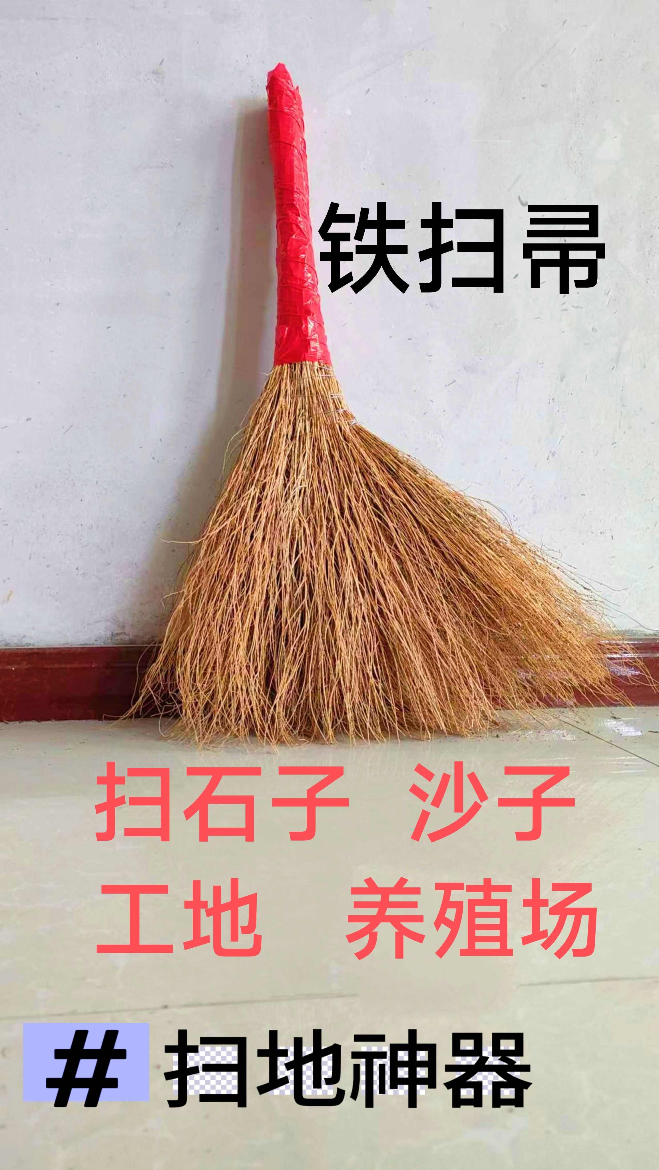 铁扫帚  地肤子  金丝草扫帚 折不断 白色草