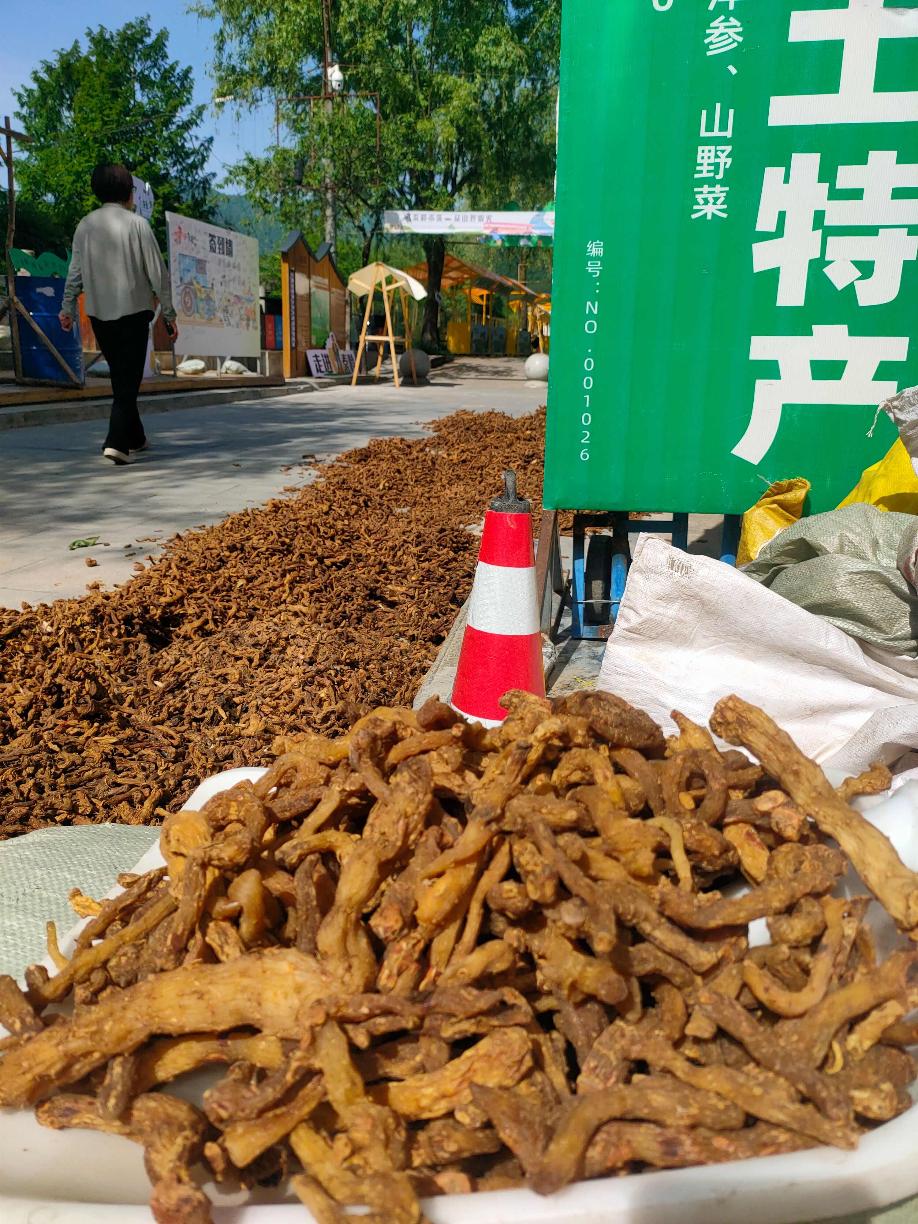 秦岭黄精、鸡头参、甜黄精