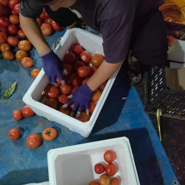 山东菏泽定陶黄店西红柿大量现货电商超市市场，也可以代发全国各