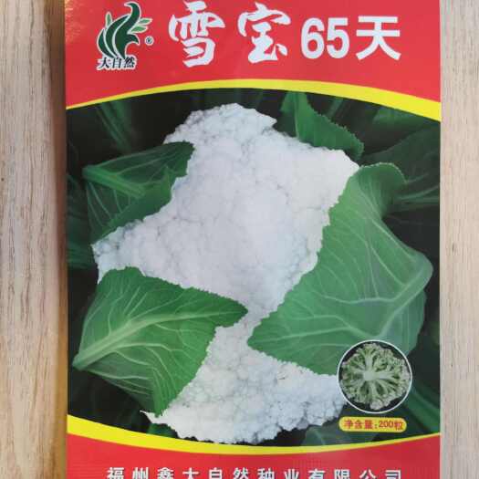 白面青梗松花菜种子  花菜雪宝65天80天青梗松花菜花椰菜