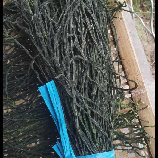 今年的新产品干豆角已开始上市，烘干的精品绿条，