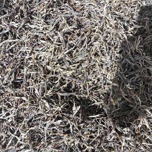 临沧勐库那蕉村偏坡组11号李健雄茶农户自产自销,柴火手工制作