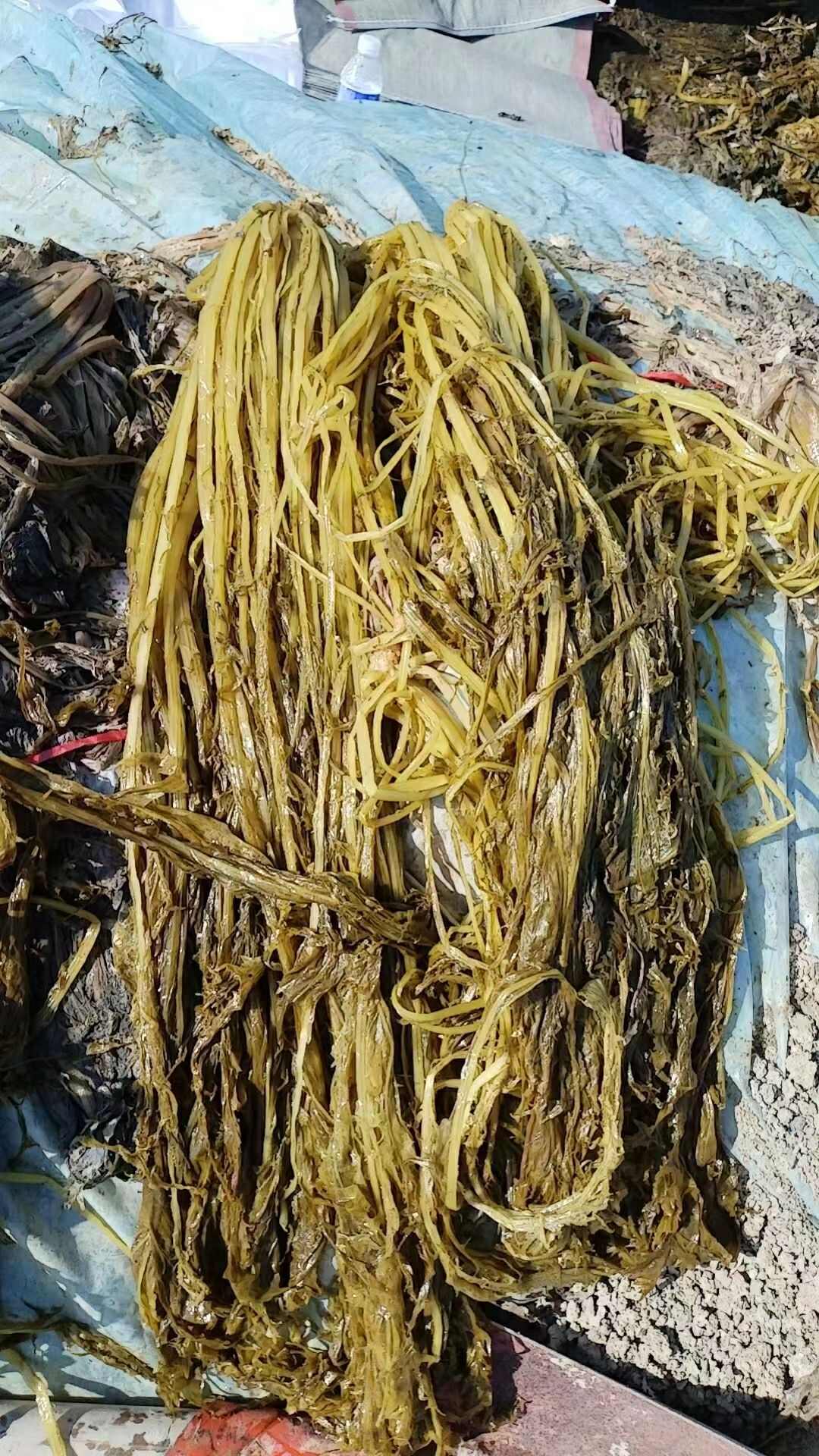 大量批发腌渍半成品雪菜
