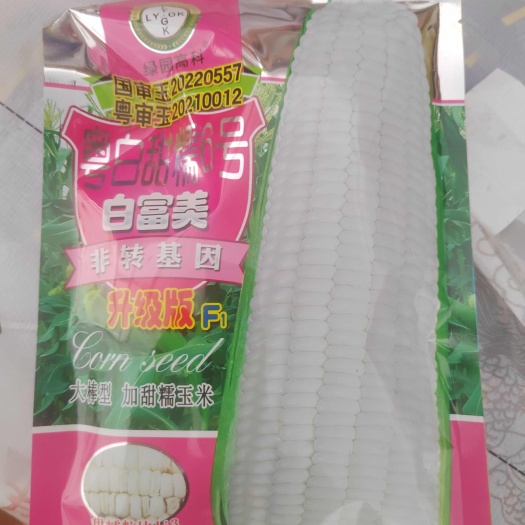 南宁白富美糯玉米种子 双交种 早熟 华南 白色 预包装