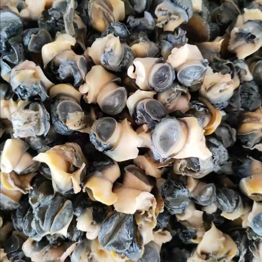 田螺肉，石螺肉，产地供应，全年发货，大小各种规格都有