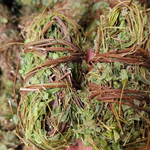 玉林鸡骨草