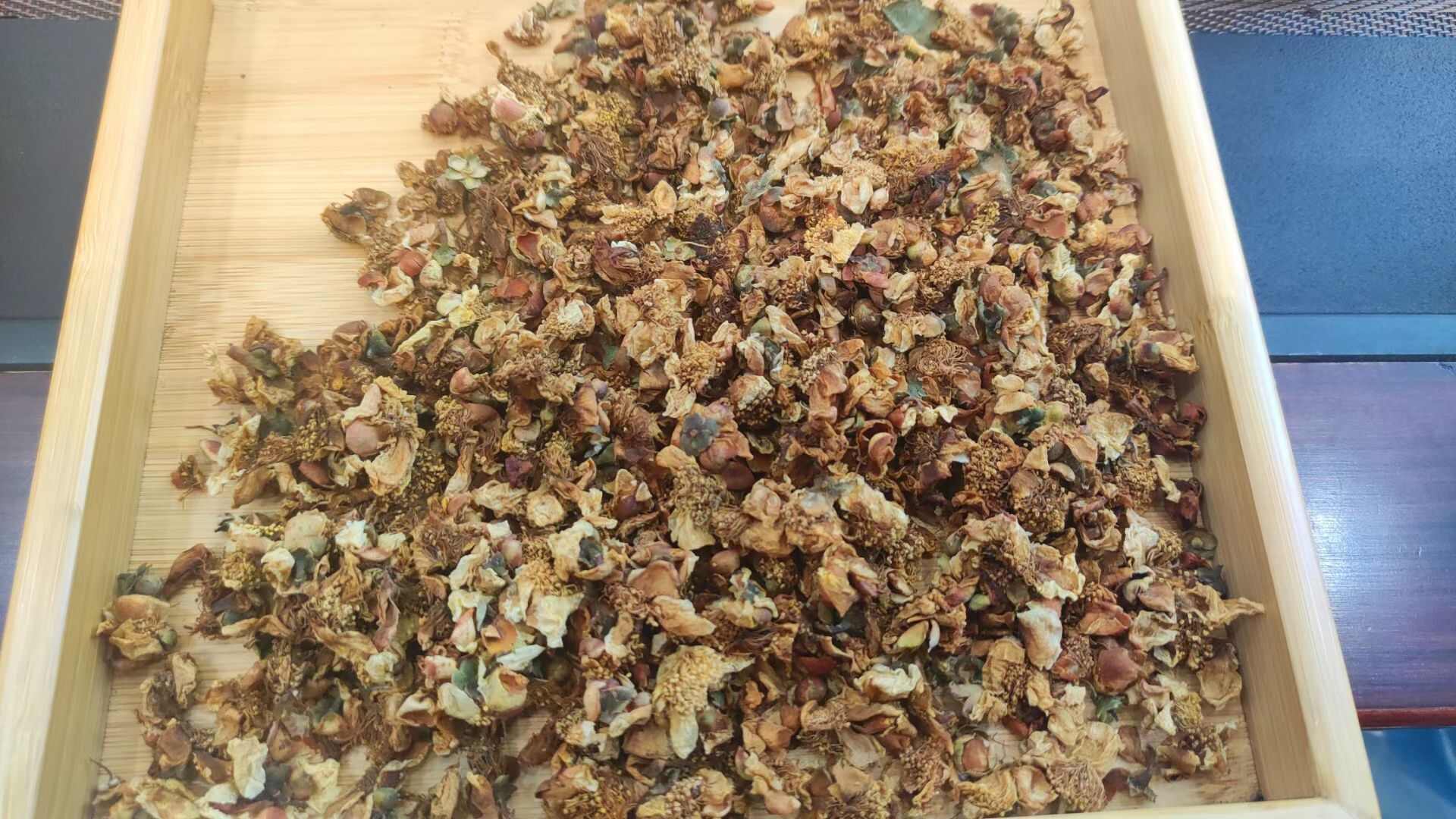 六堡茶花