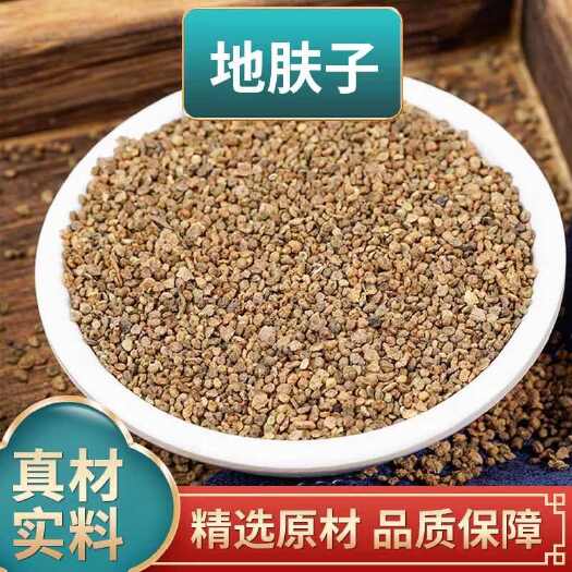 亳州地肤子中药材新货地葵新鲜落帚千头子   批发零售