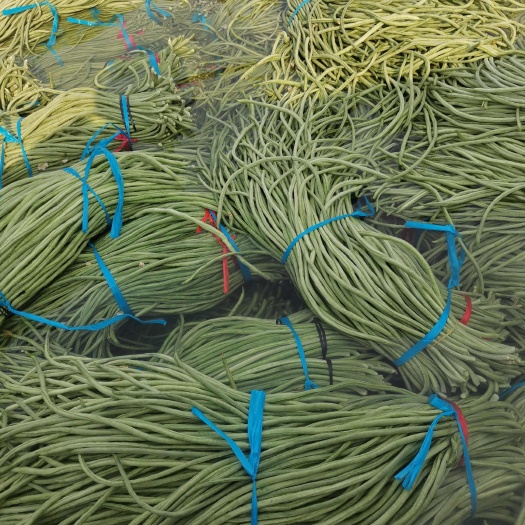 单县鲜豆角，有需要鲜豆角的请联系