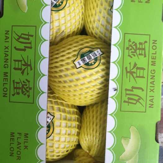 莘县玉菇