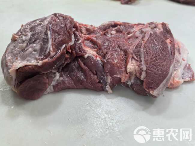 国产羔羊后腿肉 纯干无水带羊霖