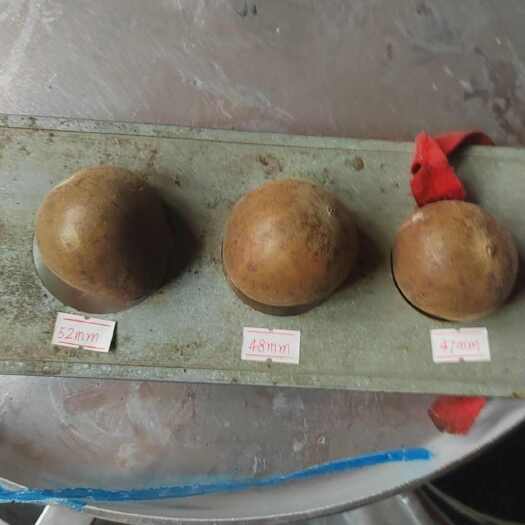  罗汉果