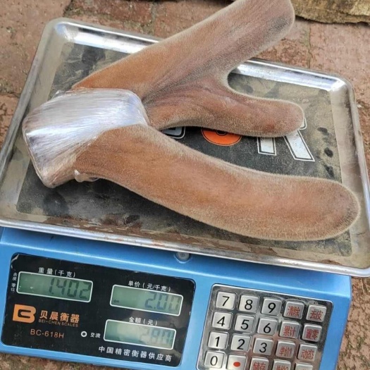 长春特种副产品