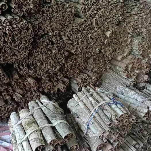 五峰县鄂西高含量紫油厚朴
