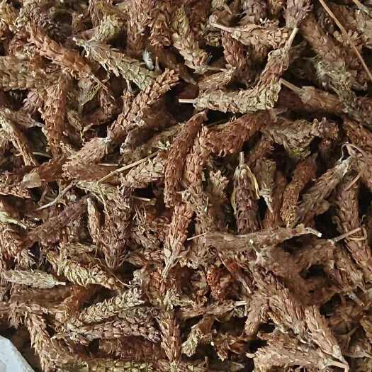 玉林夏枯草