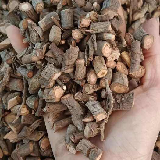 玉林黑老虎根