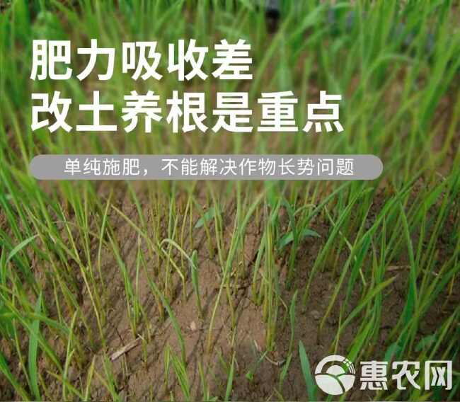 腐植酸型微生物菌肥
（调土壤、补有机、强生根、抗重茬）