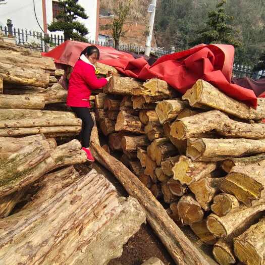 宜昌一批优质榨榛