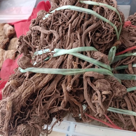 维西县云当归