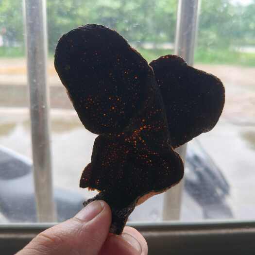 江门青皮老陈皮