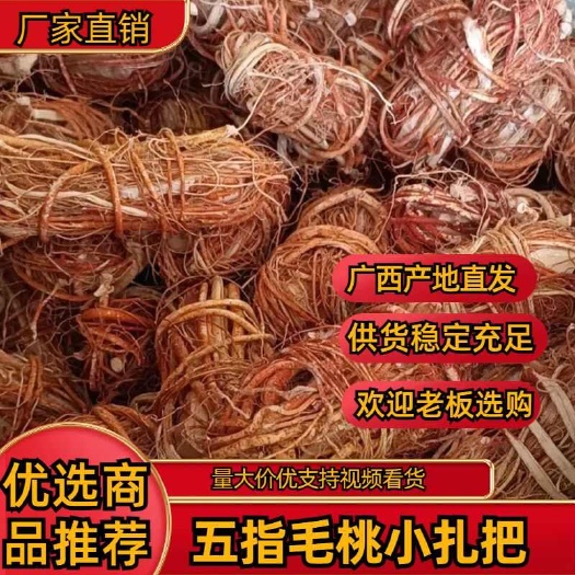 玉林五指精华，品质护航！五指毛桃精品小扎把，助力您的健康品牌！