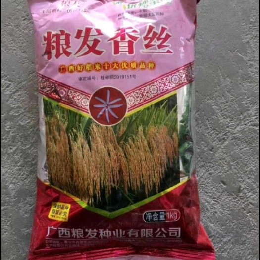 南宁粮发香丝