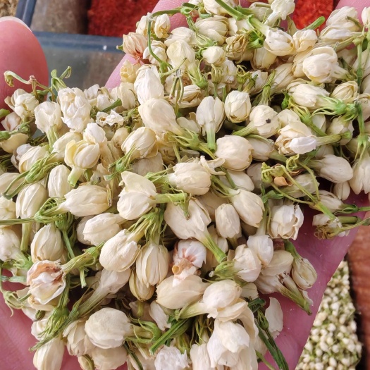 茉莉花 茉莉花茶 木梨花 茉莉花干花大货批发