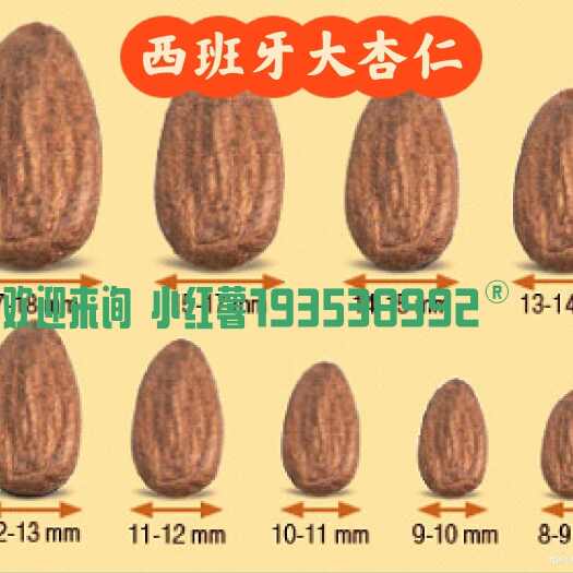  西班牙杏仁