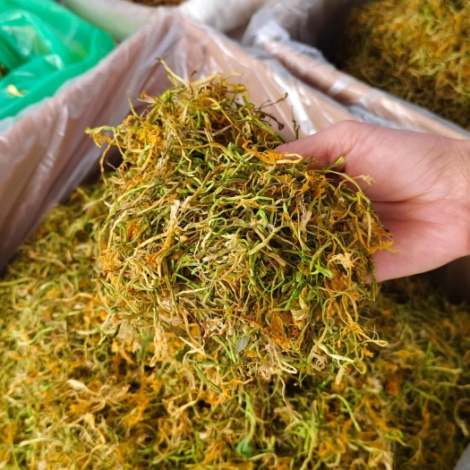 玉林金银花