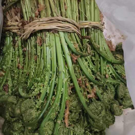 密山市蕨菜