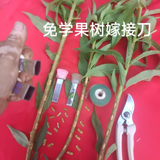 东明县免学果树嫁接刀