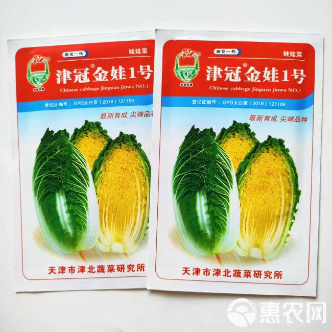 金冠秋锦黄心大白菜种子抗抽苔好吃娃娃菜春秋农用大田蔬菜种籽